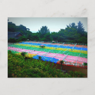 Lanterns at Seokguram Grotto, Südkorea Postkarte