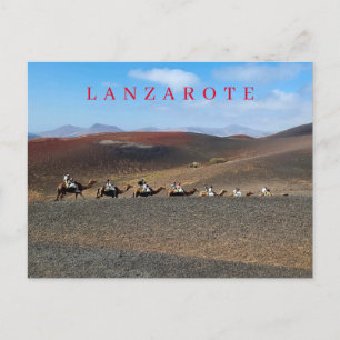 Lanzarote Kamele auf Postkarte