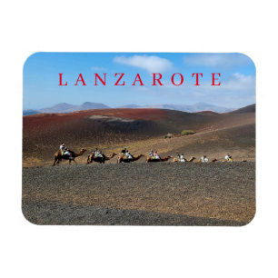 Lanzarote Kamele Kühlschrankmagnet Magnet