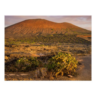 Lanzarote Vulkanischer Weinberg und Caldera bei So Poster