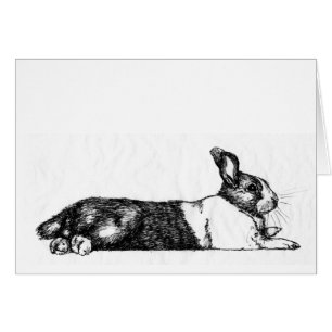 Lanze das Unamused Bunneh