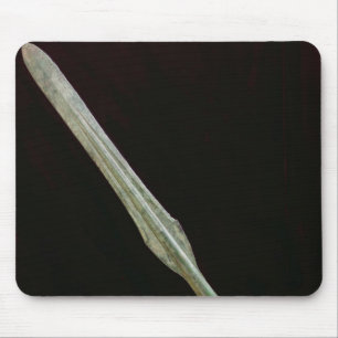 Lanzenpunkt, Yayoi Zeitraum, 200 BC-AD 100 Mousepad