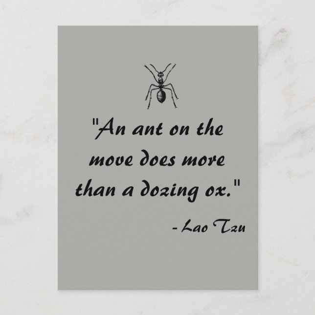 Lao Tzu Ant Quote Postcard Postkarte (Vorderseite)