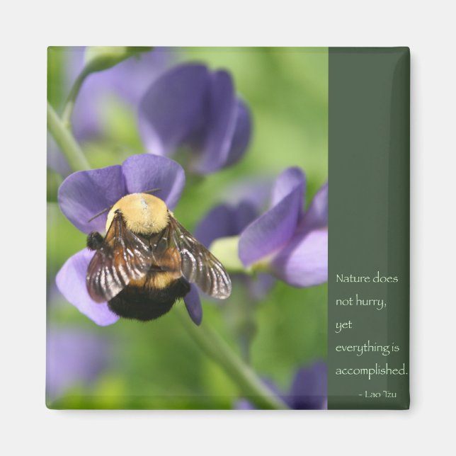 Lao Tzu Worte der Weisheit Magnet (Vorne)