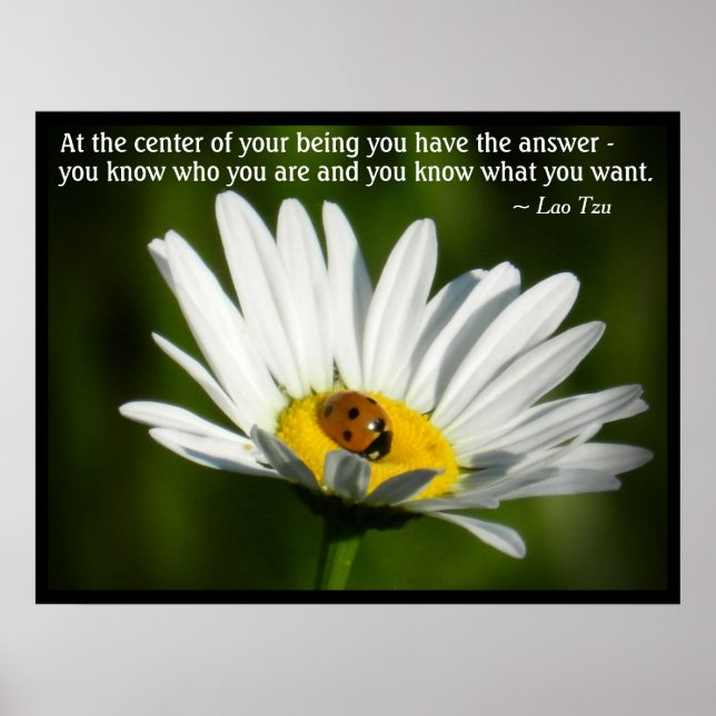 Lao Tzu Zitat Inspiration Motivation Ladybug Daisy Poster (Vorne)