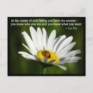 Lao Tzu Zitat Ladybird Gänseblümchen Inspirierende Postkarte