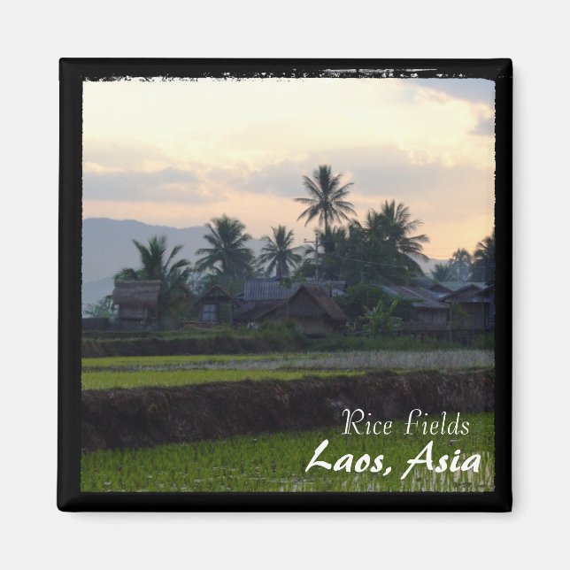 Laos, Sunset above rice fields (Magnet) Magnet (Vorne)