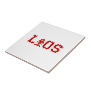 LAOS UNIVERSITY FLIESE