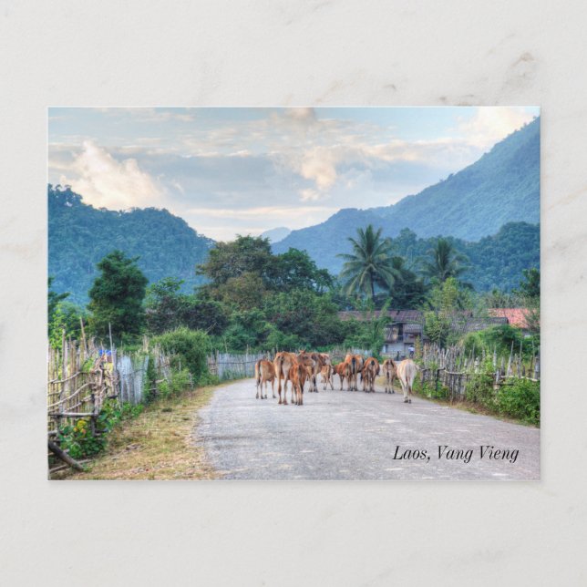 Laos, Vang Vieng Postkarte (Vorderseite)