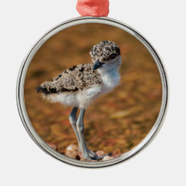 Lapidwing Chick Ornament Aus Metall