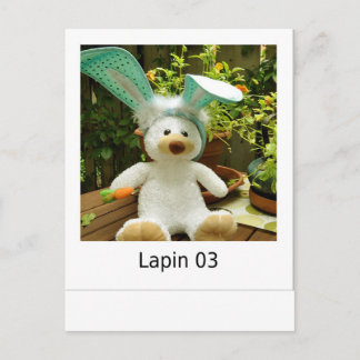 Lapin 03 postkarte
