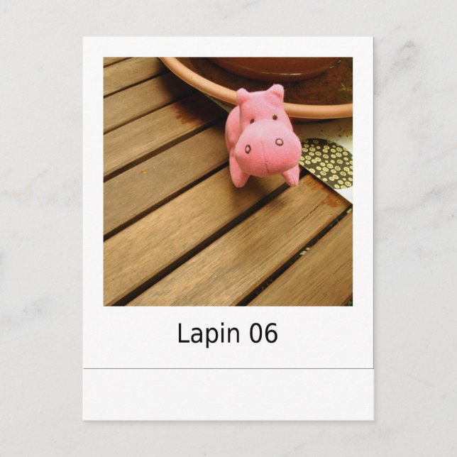 Lapin 06 postkarte (Vorderseite)
