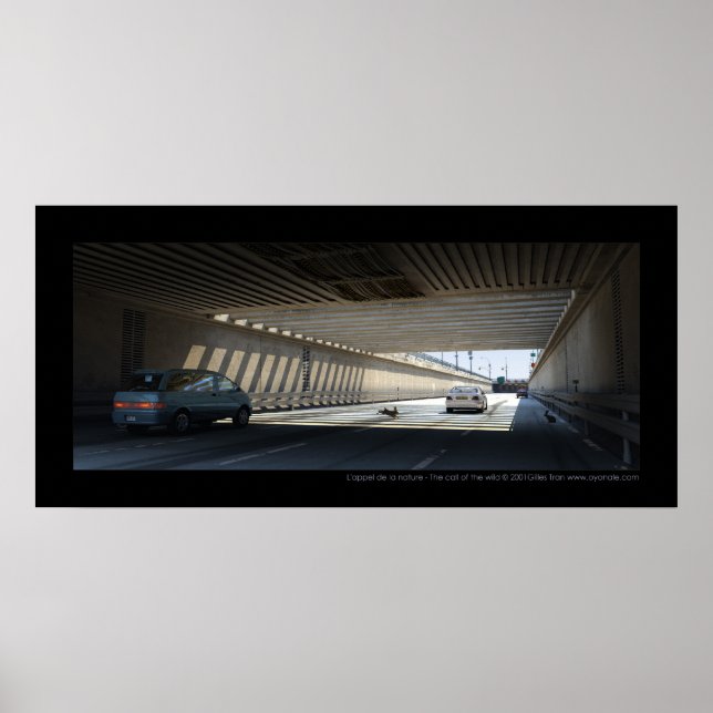 L'appel de la nature - Der Ruf der Wildnis Poster (Vorne)