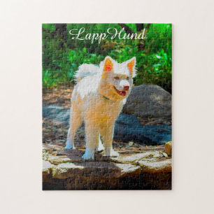 Lapphund Hund. Jigsaw Puzzle