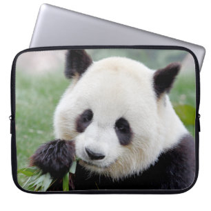 Laptop Ärmel Foto Riesenpanda , Tiere. Laptopschutzhülle