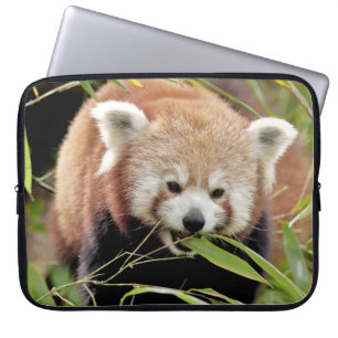 Laptop-Ärmel Foto rot Panda , Tiere. Laptopschutzhülle