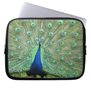 Laptop-Sieb - Peacock Laptopschutzhülle