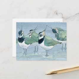 Lapwing Bird Lover Wildlife Watercolor Postkarte