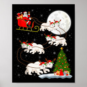 Lar Bär Weihnachtsmann Schlitten Fliegender Lustig Poster