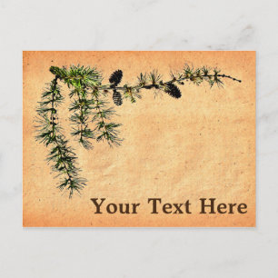 Larch Branch Postkarte
