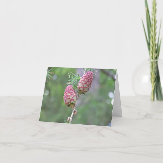 Larchkarte Feiertagskarte (Vorderseite)