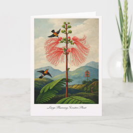 Large Flowering Sensitive Plant — Modern Botanical Karte