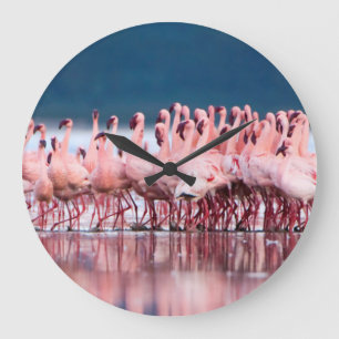 Large Group Of Lesser Flamingos Große Wanduhr
