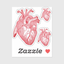 Large Labelled Vintage Anatomical Heart, Red