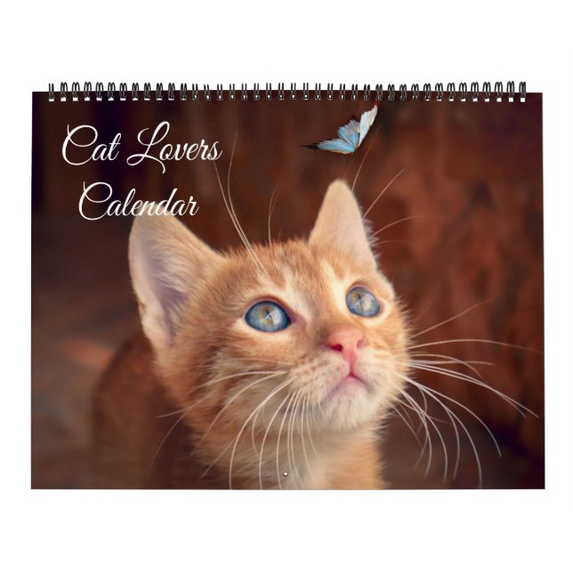 Large Size Cat Lovers Calendar Kalender (Titelbild)