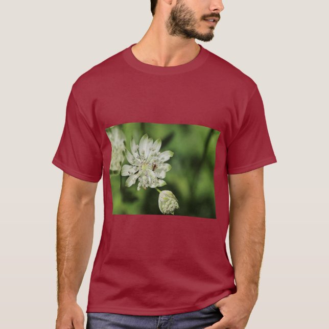 Large Star Umbel Botanical Illustration T-Shirt (Vorderseite)