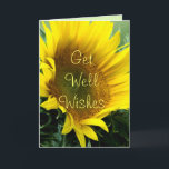 Large Sunflower Get Well or any occasion-customize Karte<br><div class="desc">Change the words on the front and inside of this beautiful sunflower for any occasion you need such as birthday,  mother's day,  sympathy,  good luck,  congratulations and many other uses. To see matching stamps & gift items go to my ASSORTED FLOWERS SECTION.</div>