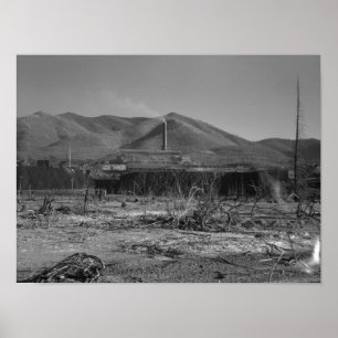 Largest lead mine in the world - Kellogg Poster
