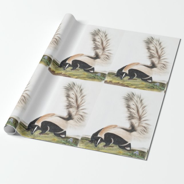 LargeTails Skunk Mephitis macroura Illustration Geschenkpapier (Ungerollt)