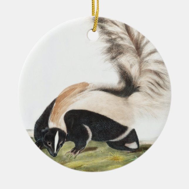LargeTails Skunk Mephitis macroura Illustration Keramik Ornament (Vorne)