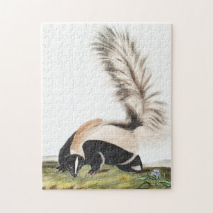 LargeTails Skunk Mephitis macroura Illustration Puzzle