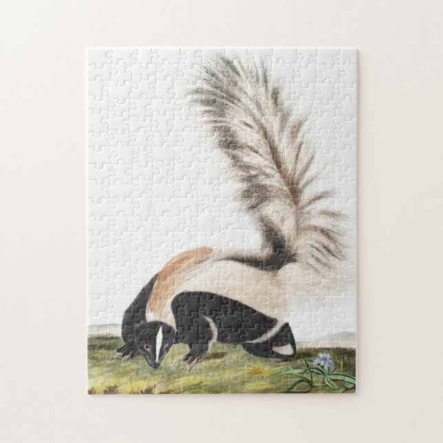 LargeTails Skunk Mephitis macroura Illustration Puzzle (Vertikal)
