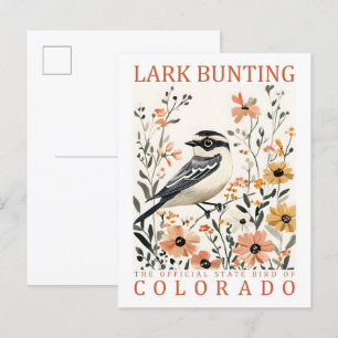 Lark Bunting Bird of Colorado USA Travel Postkarte