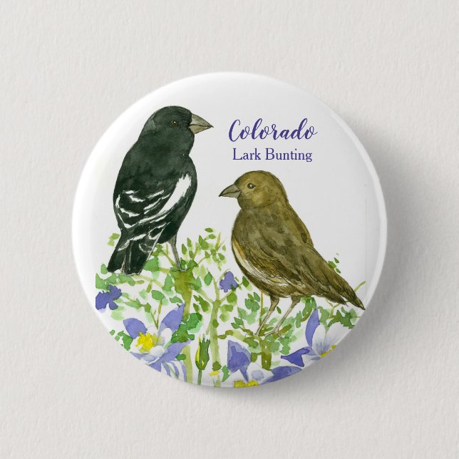 Lark Bunting Sparrow Birds Colorado Columbine Button (Vorderseite)
