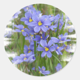 Larkspurs Runder Aufkleber