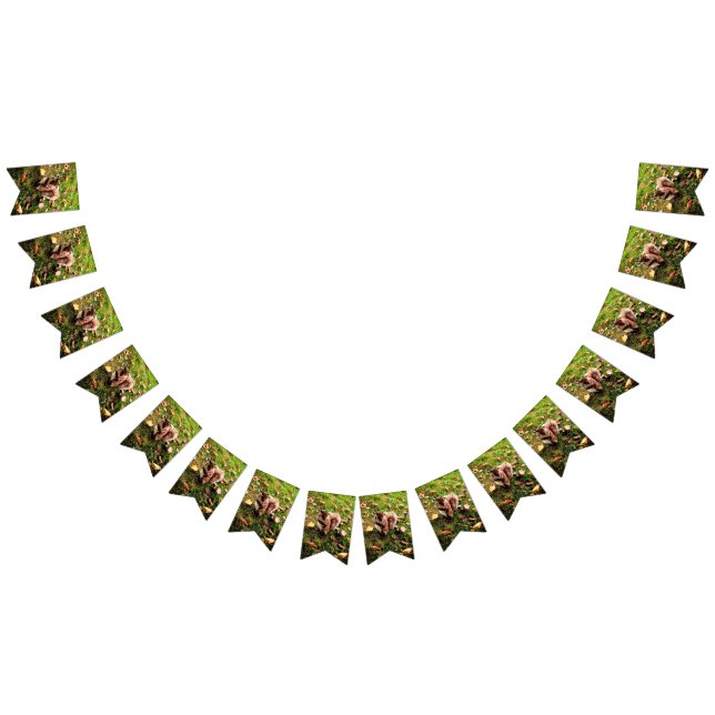 Lärmpegel Wimpelkette (Alle)