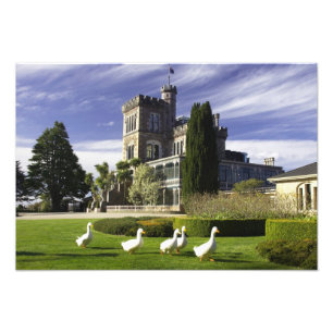 Larnach Castle, Otago-Halbinsel, Dunedin, Fotodruck