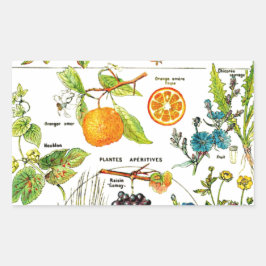 Larousse Fruit Orange Birnen Gran Café Al Porto Rechteckiger Aufkleber