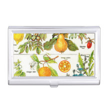 Larousse Fruit Orange Birnen Gran Café Al Porto