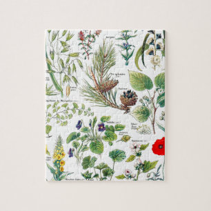 Larousse Pflanzen beruhigende, weichmachende, Brus Puzzle