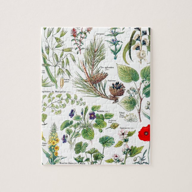 Larousse Pflanzen calmantes, emollientes, Puzzle (Vertikal)