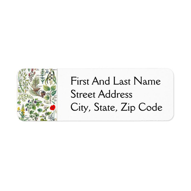 Larousse Pine Cone Forest Naturel (Vorne)