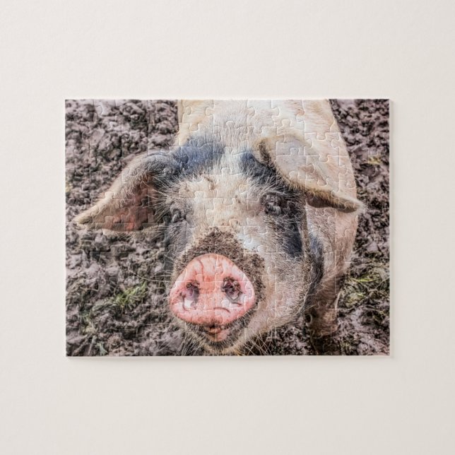 Larry the Pig Puzzle (Horizontal)