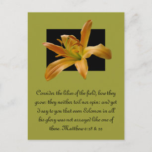 Larry's Orange Lily Postkarte