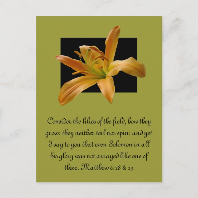 Larry's Orange Lily Postkarte (Vorderseite)