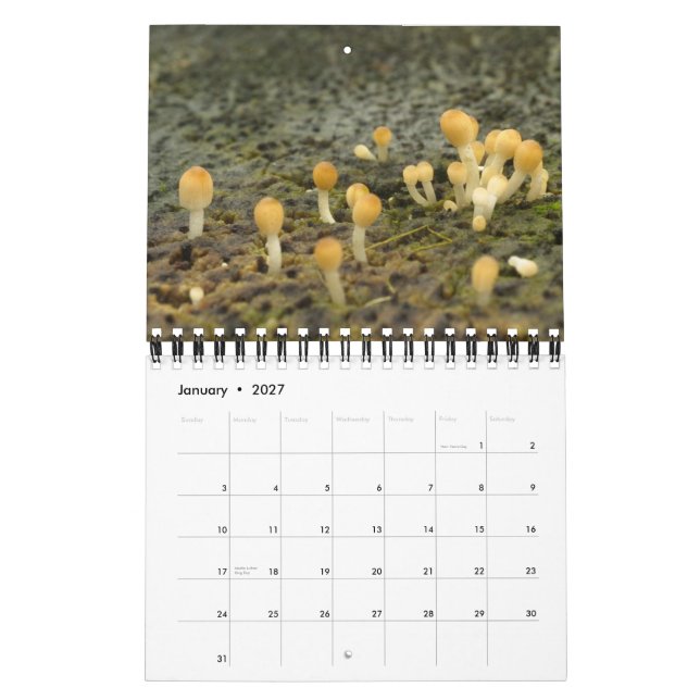 Las Encantadas Kalender (Jan 2027)